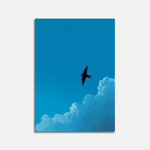 Bird Flying Through Clouds Poster