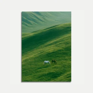 Grazing Horses in Rolling Hills Poster