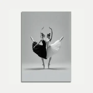 Black and White Ballet Dancers Poster