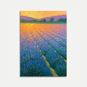 Lavender Field at Sunset Poster
